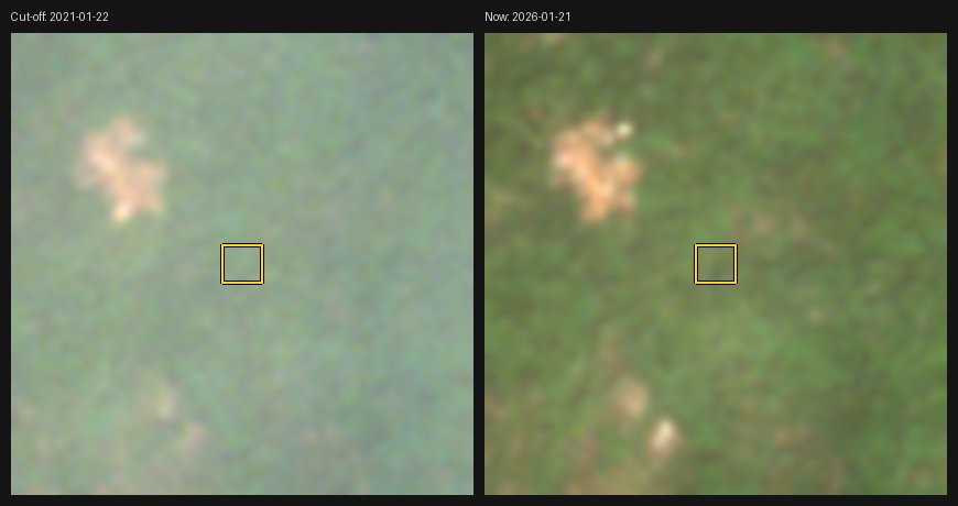 ON-15, Idanre. Left: the dry season straddling the cut-off. Right: the 2025–26 dry season. Yellow: the mapped square. At 10 m a 60 m square 