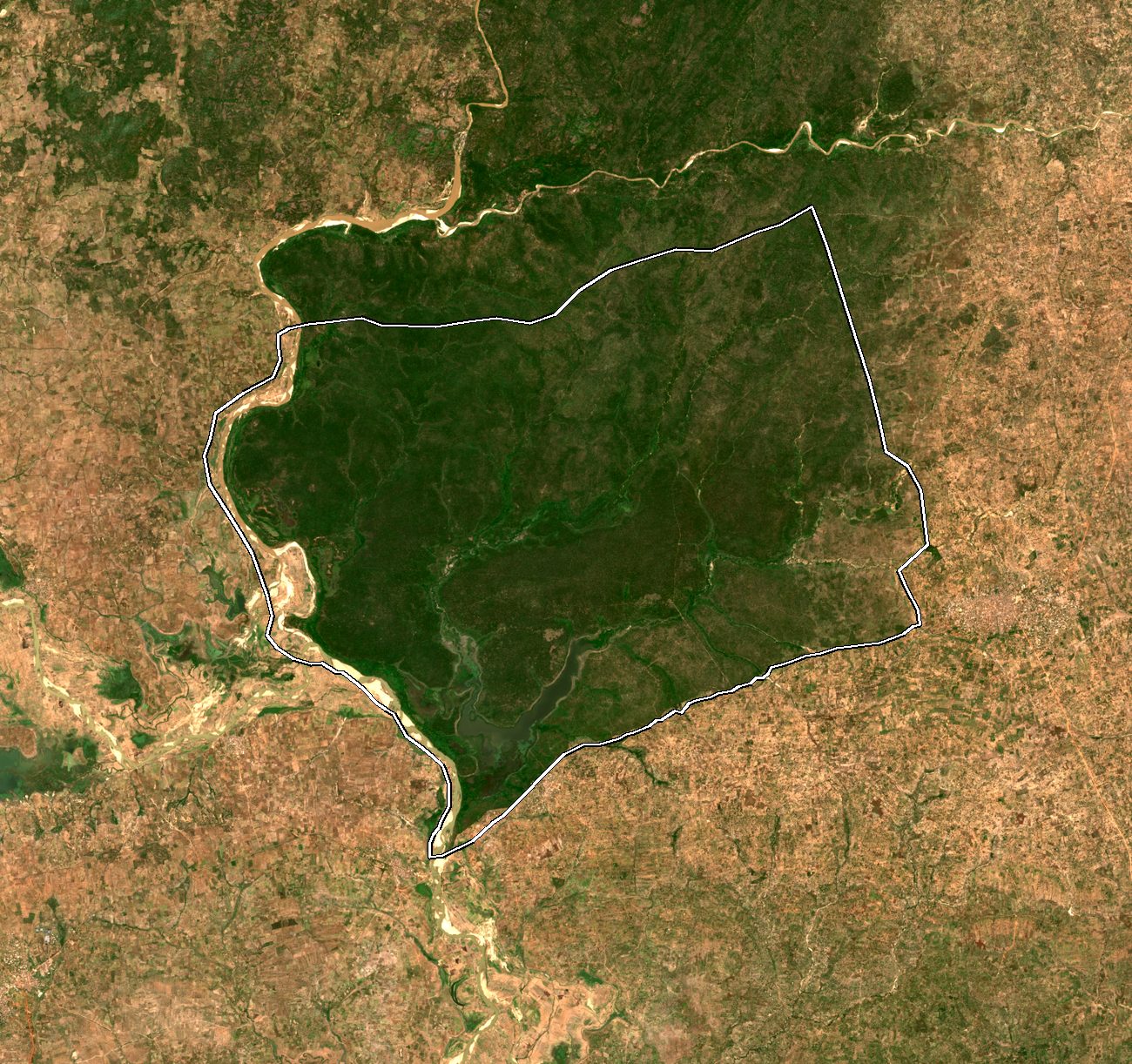 Sentinel-2 image of Pandam Wildlife Park with the area lost in 2024 and 2025 marked