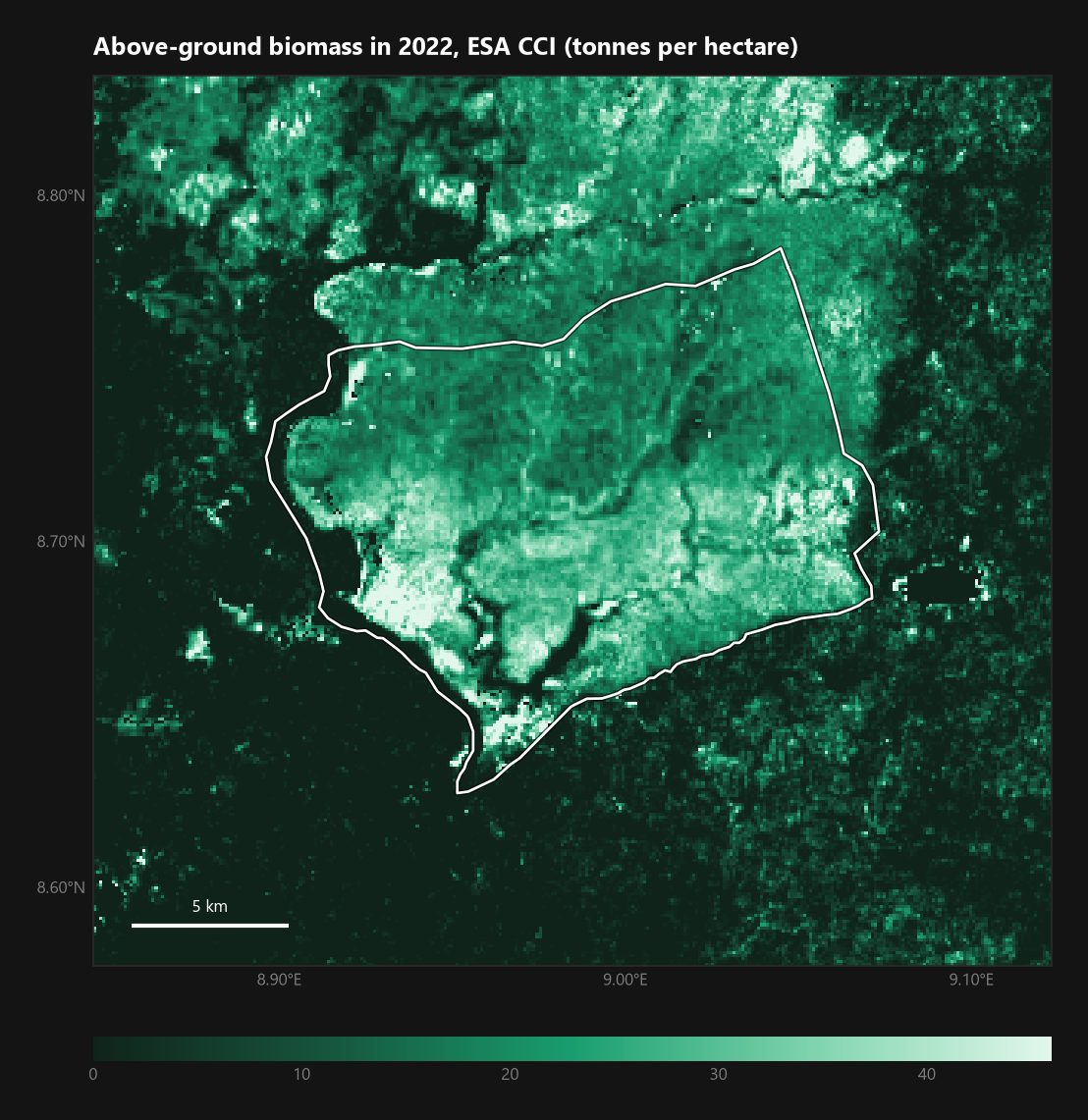 <b>Biomass, 2022.</b> The park's outline is drawn by the data itself, including the block north of the polygon.