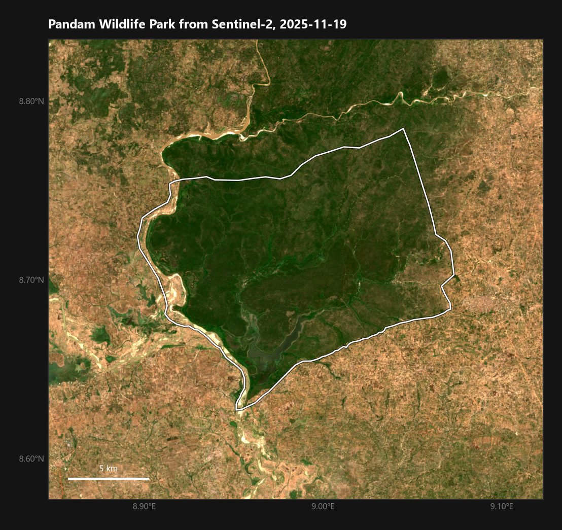 <b>Pandam from space.</b> Sentinel-2, 2025-11-19, cloud-free. The woodland block stands out against farmland on every side. The white line is the wetland-site polygon; the dark block north of it, up to the river, is outside the line but looks like the same park.